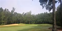 Willbrook Plantation 